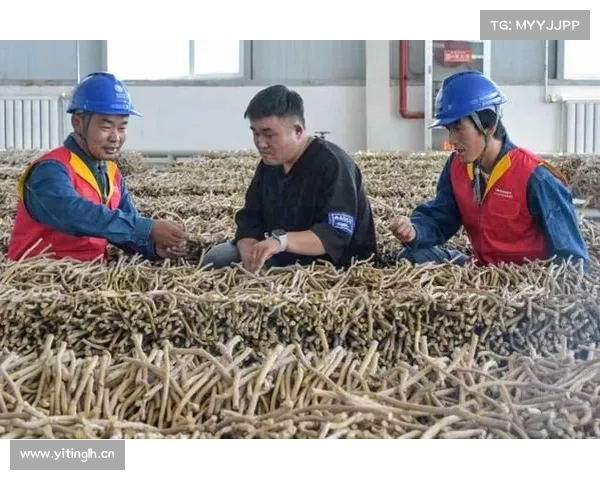 充足电力赋能企业加速跑 充足电力赋能企业加速跑