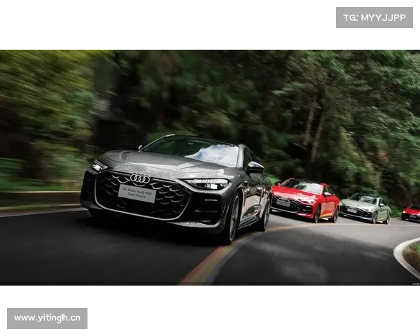 全新奥迪A5 sportback,黑色套件很帅气哦